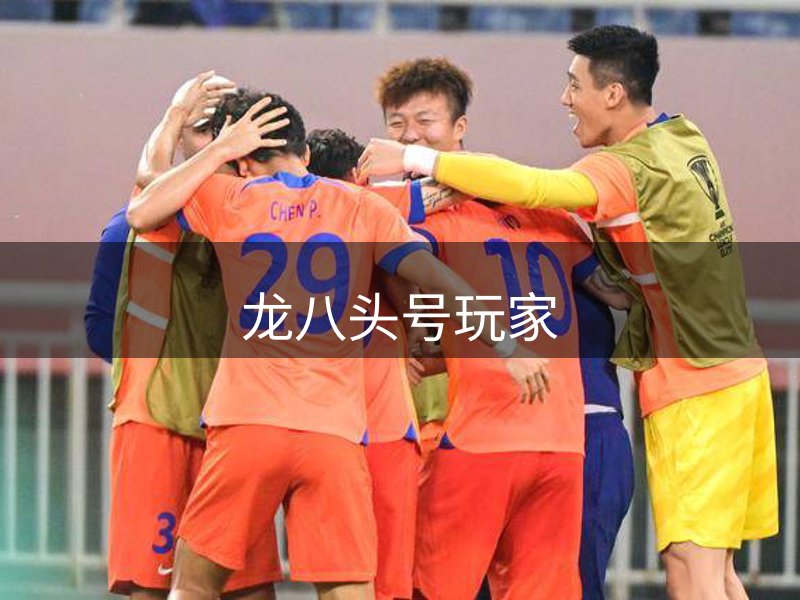网站介绍